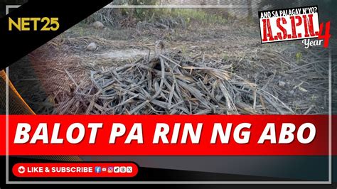 Ando’n pa rin sa balot ng unan baccarat mong pabangow! (Try .